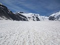 019_Piz Palue_Juni_2014